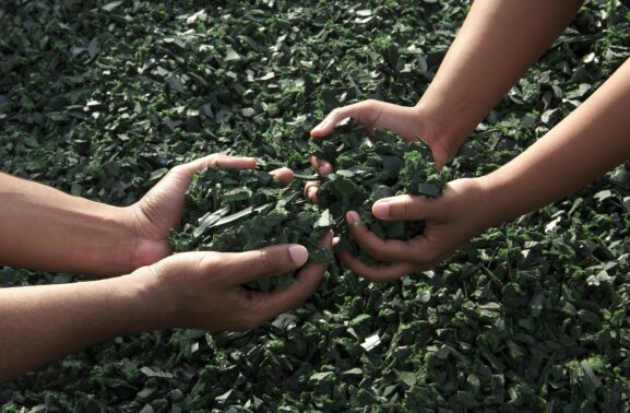 Several people's hands working together on a task